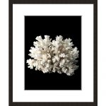 Coral 3 Small Framed Portrait
