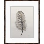 Collected Feather